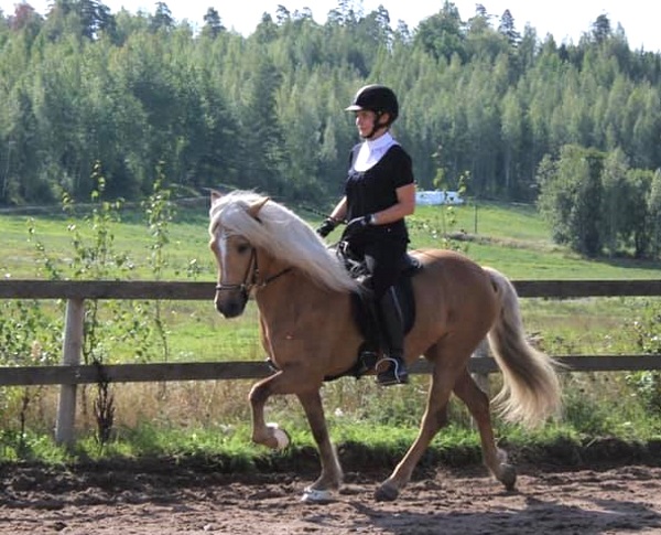 Mirra